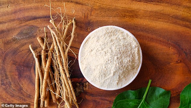 Ashwagandha roots and powder. The drug has gained in popularity due to claims it can reduce anxiety and improve sleep quality