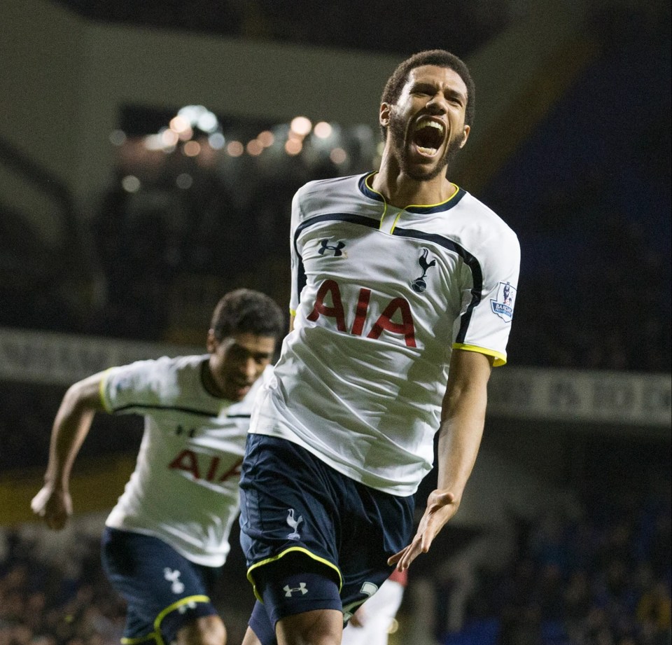 Capoue was one of Tottenham's 'magnificent seven' who arrived to replace Gareth Bale