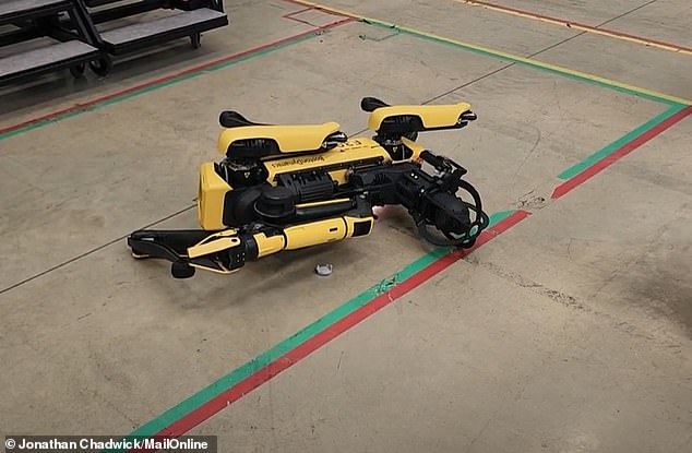 Loose parts scatter the floor and sparks fly as the poor robotic pooch struggles to get back up