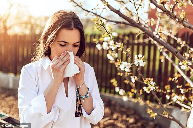 Immunotherapy might be a useful treatment for hay fever (picture posed by model)