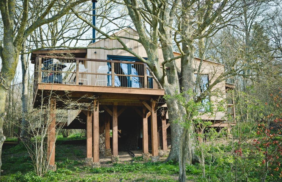 The Damselfly Treehouse in Hampshire has a stunning interior