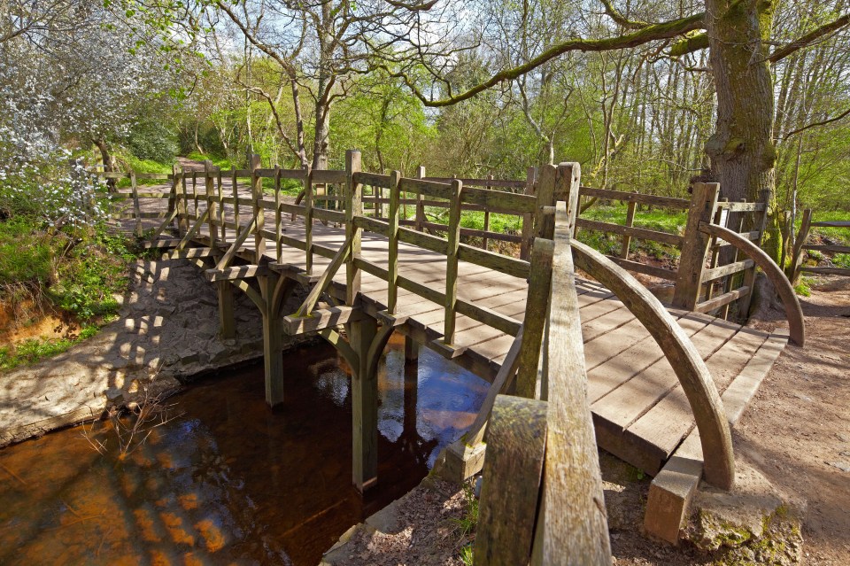 There's even a Pooh Sticks Bridge in Ashdown Forest, for fans of the book to recreate the game