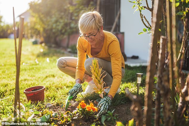 It is not uncommon for patients taking blood pressure medicines to get dizzy spells, writes Dr Ellie Cannon, particularly when leaning over, like when gardening