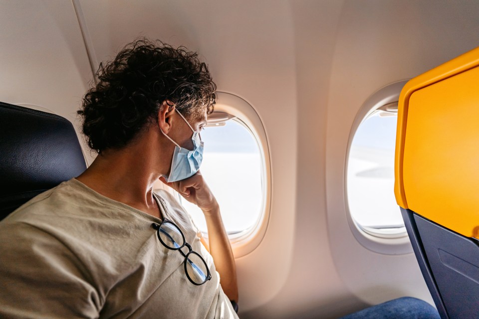 Susannah Carr, a flight attendant, recommends passengers where a disposable face mask