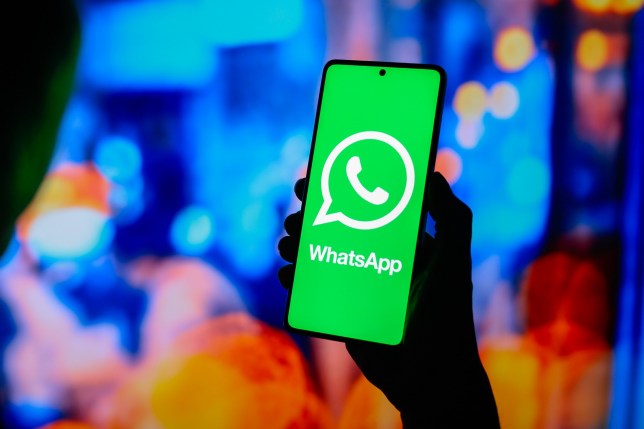 A Whatsapp Logo is displayed on a phone screen