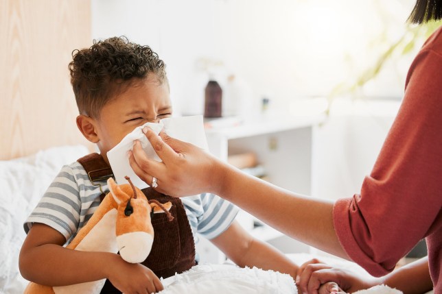 A parent blowing the nose of a child or toddler. 