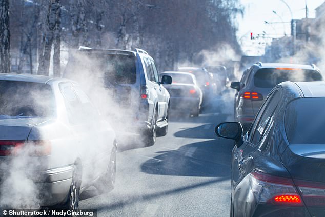 Although smoking remains the biggest risk factor for lung cancer, it's estimated that nearly 6,000 people who have never smoked die of lung cancer each year, some of which may be due to air pollution exposure