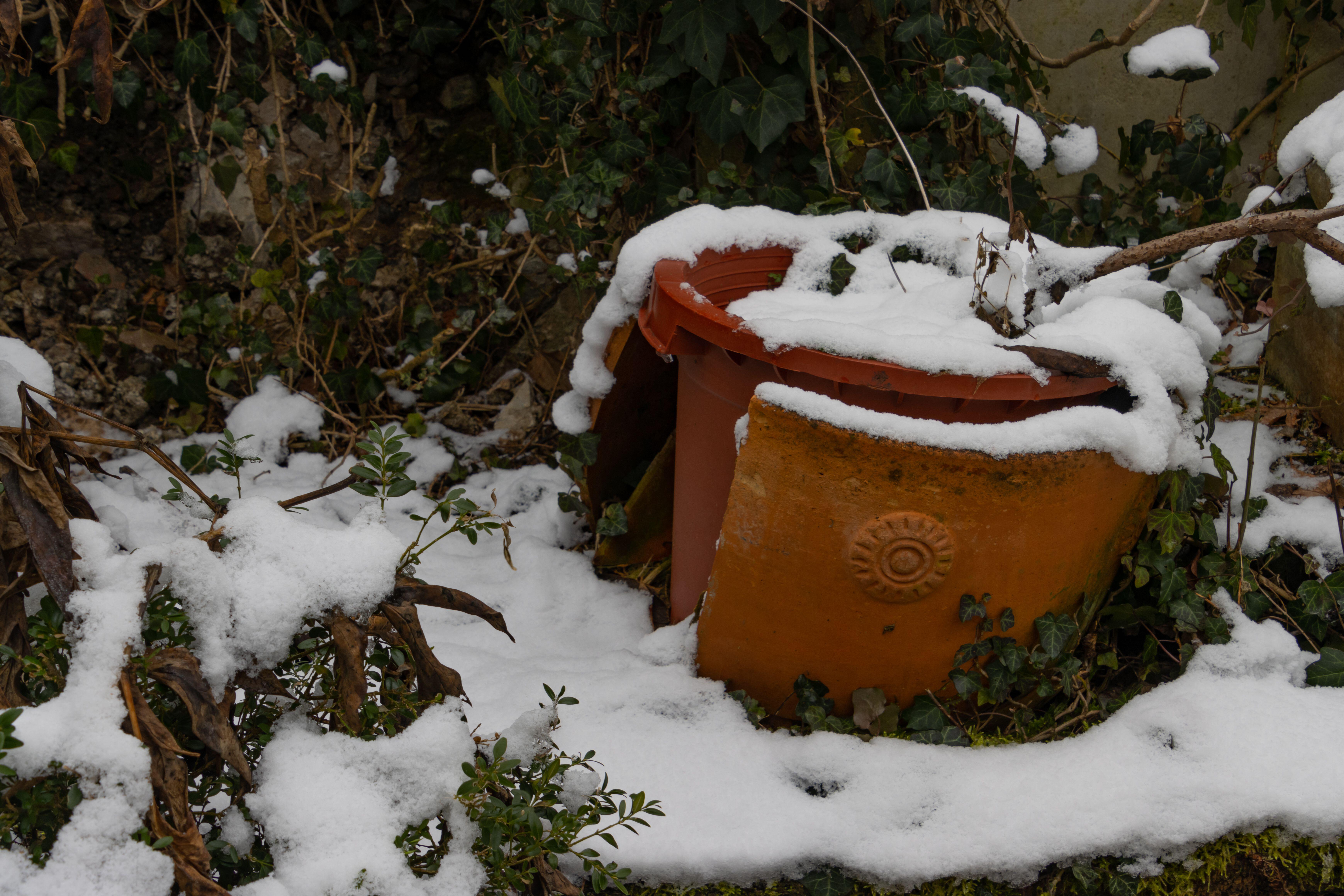 Cracked terracotta pots in winter