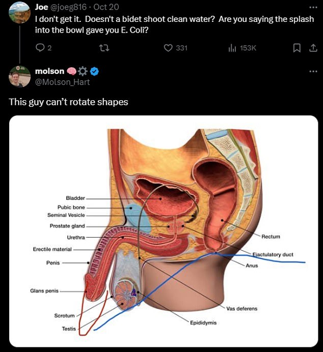 To explain himself further Mr Hart posted an anatomical diagram of how the bidet could have sprayed dirty water from his anus into his penis