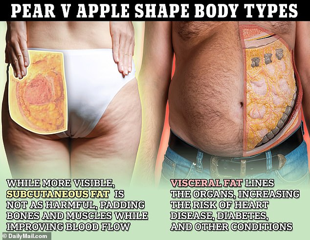 Subcutaneous fat is more visible outside of the body, padding the outer layers of muscle just underneath the skin, and isn't linked to particular health concerns. Visceral fat, which lies deep amongst the organs, is more dangerous but less noticeable.