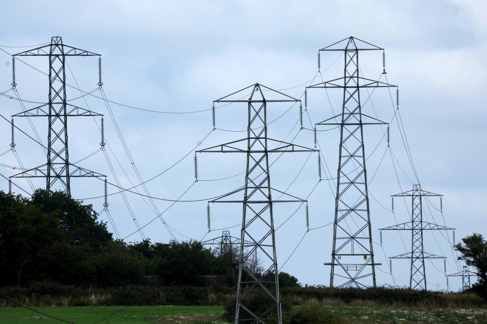 The National Grid's Demand Flexibility Service is returning this year