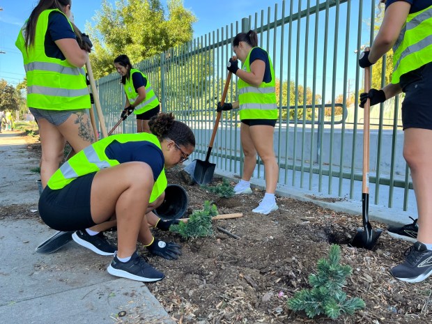 Volunteers join Keep Riverside Clean and Beautiful to do landscaping work Saturday, Oct. 12, 2024, at Riverside's Hunt Park. (Courtesy of Clean California)