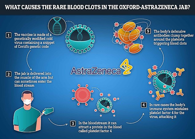 Researchers believe the rare side effect occurs due to the modified cold virus lurking in the jab having an adverse effect on platelets in the blood, triggering clotting