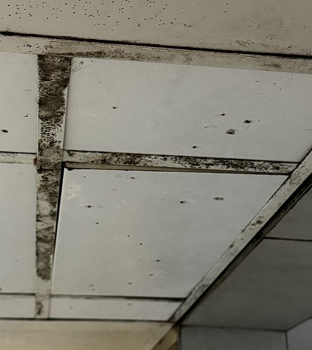 Members have complained about mouldy ceilings in some of the UK clubs, despite glowing reviews written by staff members.