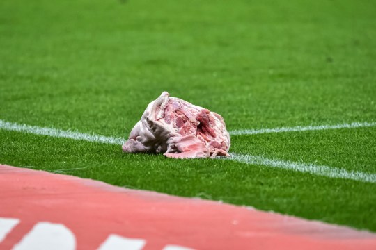 The head of a Pork is seen on the pitch during a Brasileirao match between Corinthians and Palmeiras at Neo Quimica Arena 