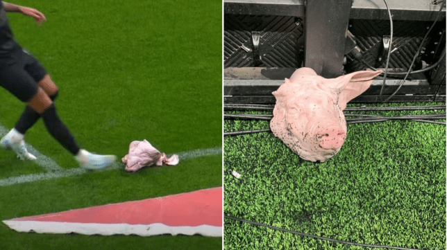 A pig's head on a football pitch in Brazil during a game between Corinthians and Palmeiras