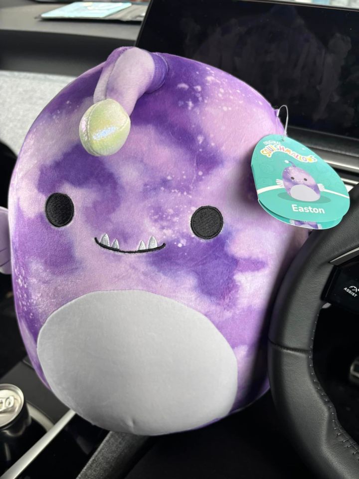 One shopper paid just £5 for this purple Squishmallow at B&M