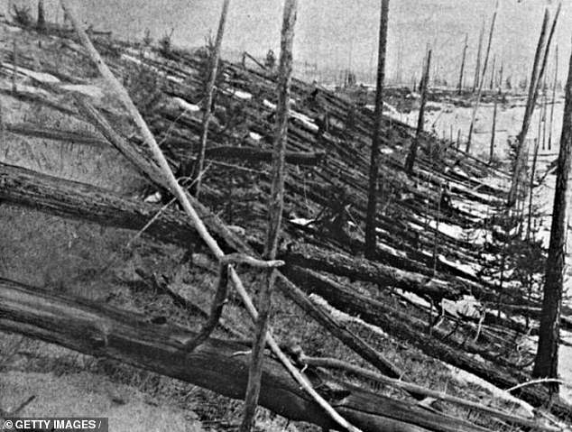 The Tunguska asteroid exploded in the air over Siberia in what's known as an 'air burst,' and a blast equivalent to detonating 50 million tons of TNT that flattened an estimated 80 million trees over 830 square miles of forest. Experts say Asteroid 2024 YR4 could cause a similar event