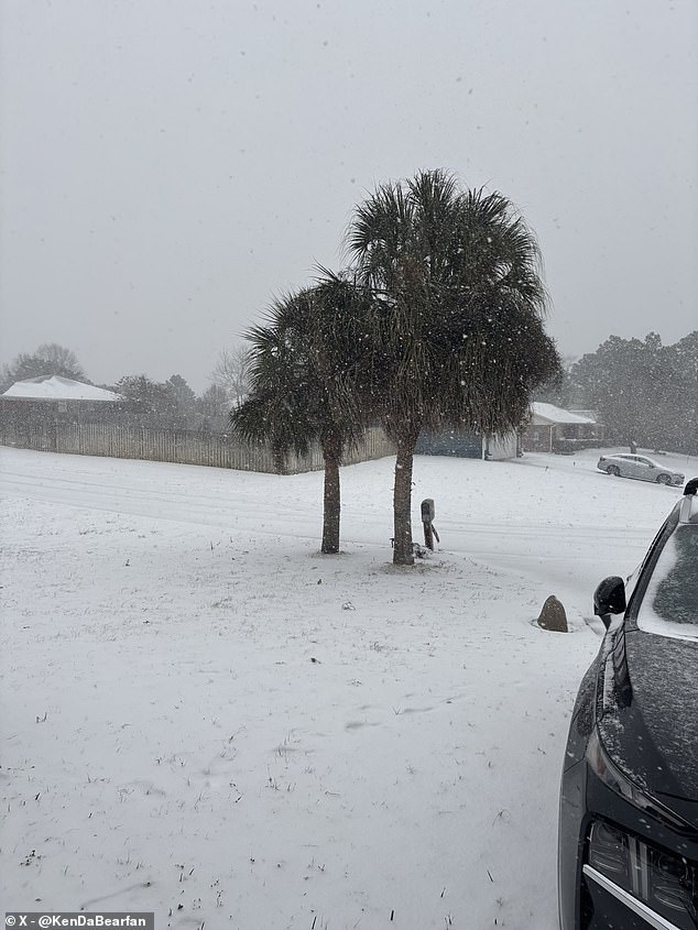 A 'historic' snowstorm is beginning to spread snow and ice across a 1,000-mile-long stretch of the US from central Texas to northern Florida (pictured)