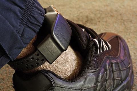 Electronic ankle tag