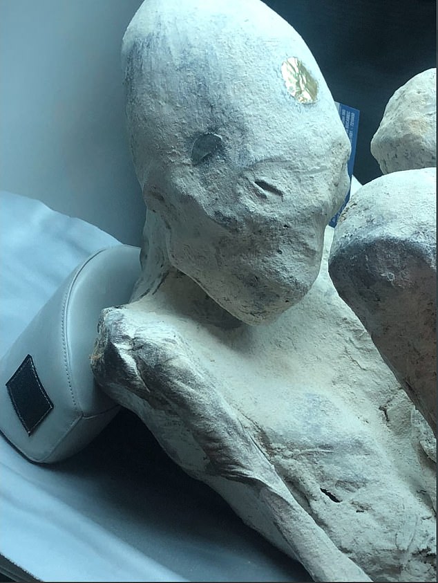 One specimen, named Montserrat, was found with a metallic-like object on its head that experts said said was placed on the body while it was alive