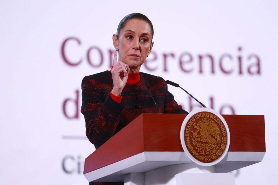 A woman giving a presentation at a podium.