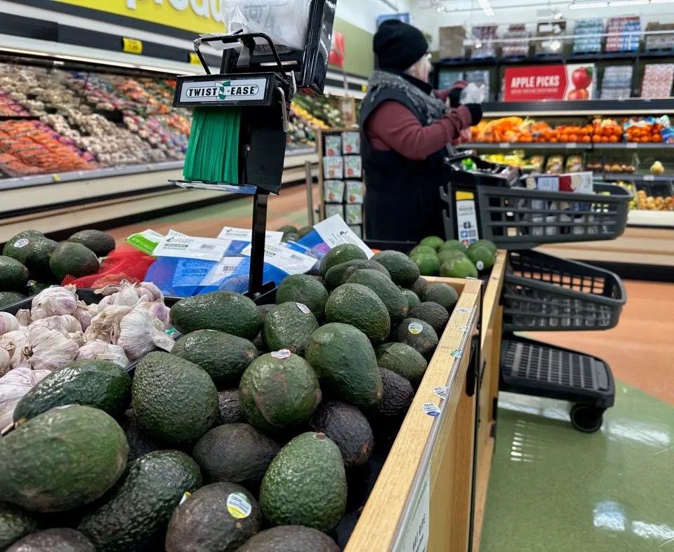 Avocados and garlic in a grocery store display.