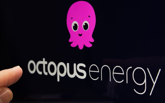 Energy supplier OCTOPUS ENERGY logo and finger is pointing at it. United Kingdom, Stafford, December 18, 2021.; Shutterstock ID 2118598895; purchase_order: -; job: -; client: -; other: -