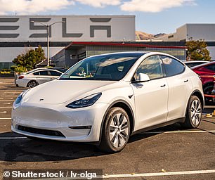 The Tesla Model Y (pictured) is categorised by SMMT as an MPV, though the US brand markets it as an SUV