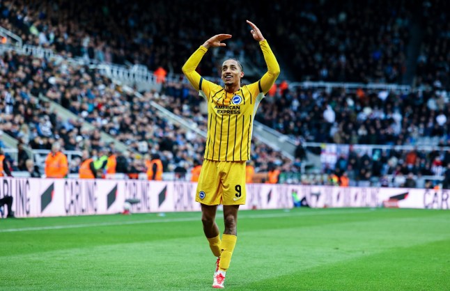 NEWCASTLE UPON TYNE, ENGLAND - MARCH 2: Brighton & Hove Albion's Joao Pedro celebrates his side's second goal during the Emirates FA Cup Fifth Round match between Newcastle United and Brighton & Hove Albion at St James' Park on March 2, 2025 in Newcastle upon Tyne, England. (Photo by Alex Dodd - CameraSport via Getty Images)