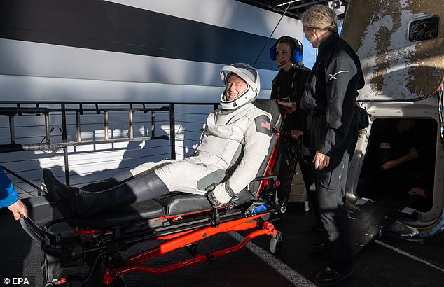 After splashing down off the coast of Tallahassee, Florida the pair were helped onto stretchers by NASA's medical crew. This is standard practice for astronauts whose muscles have been weakened by their time in microgravity