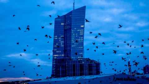 Birds fly in front of the European Central Bank building in Frankfurt