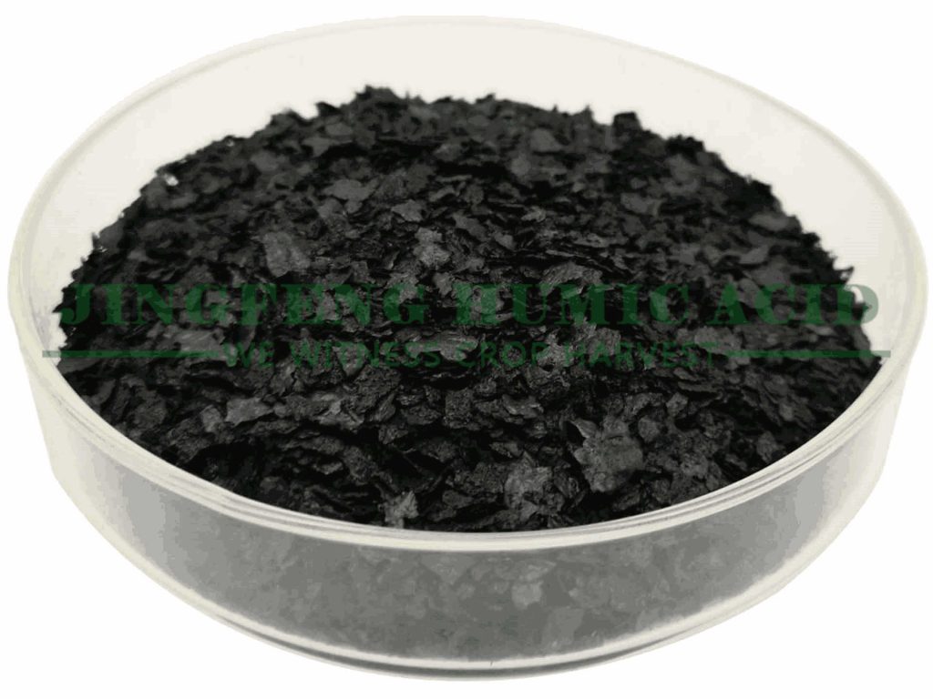 Sodium-humate-big-dark-flake