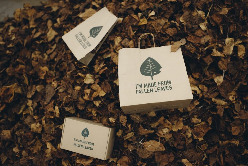The picture shows paper bags and cardboard boxes made from tree leaves!