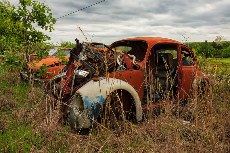 Rusty cars in an overgrown field.