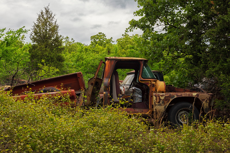 Rusty truck in an overgrown junkyard.
