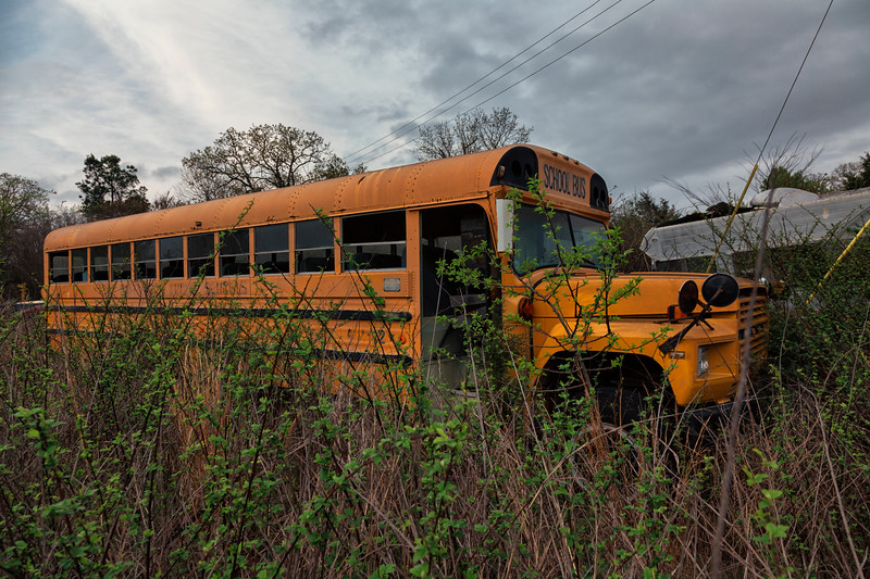 Abandoned school bus overgrown with weeds.
