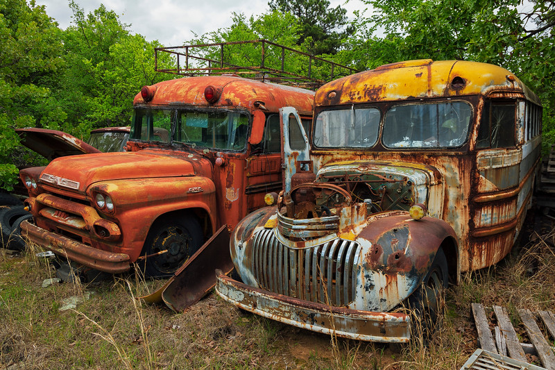 Rusty school buses and a truck in an abandoned junkyard.