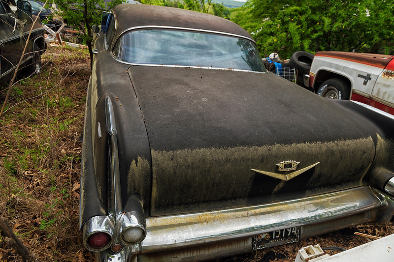 Dusty, abandoned Cadillac in a junkyard.