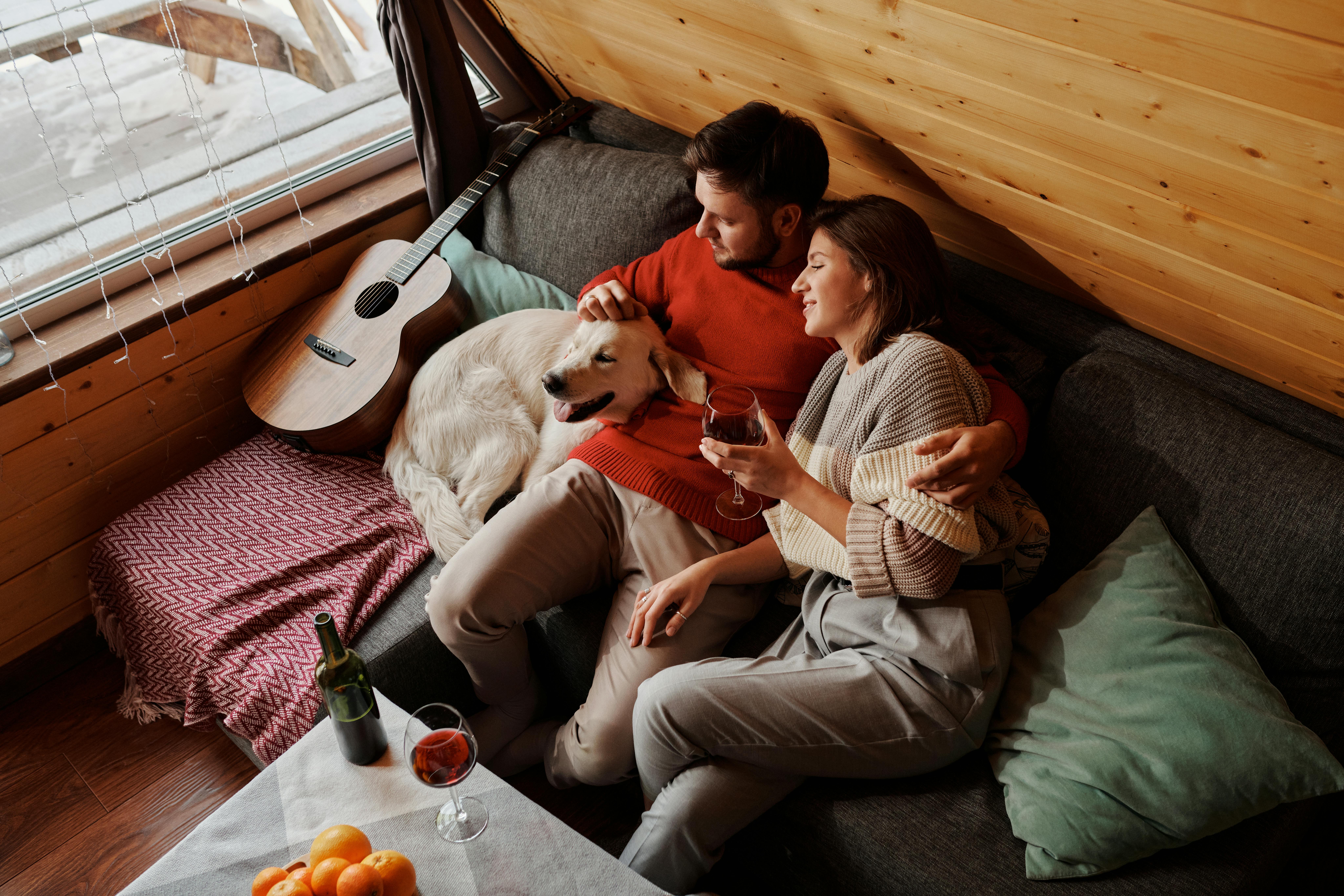 In most European countries, a quarter to half of households own at least one dog