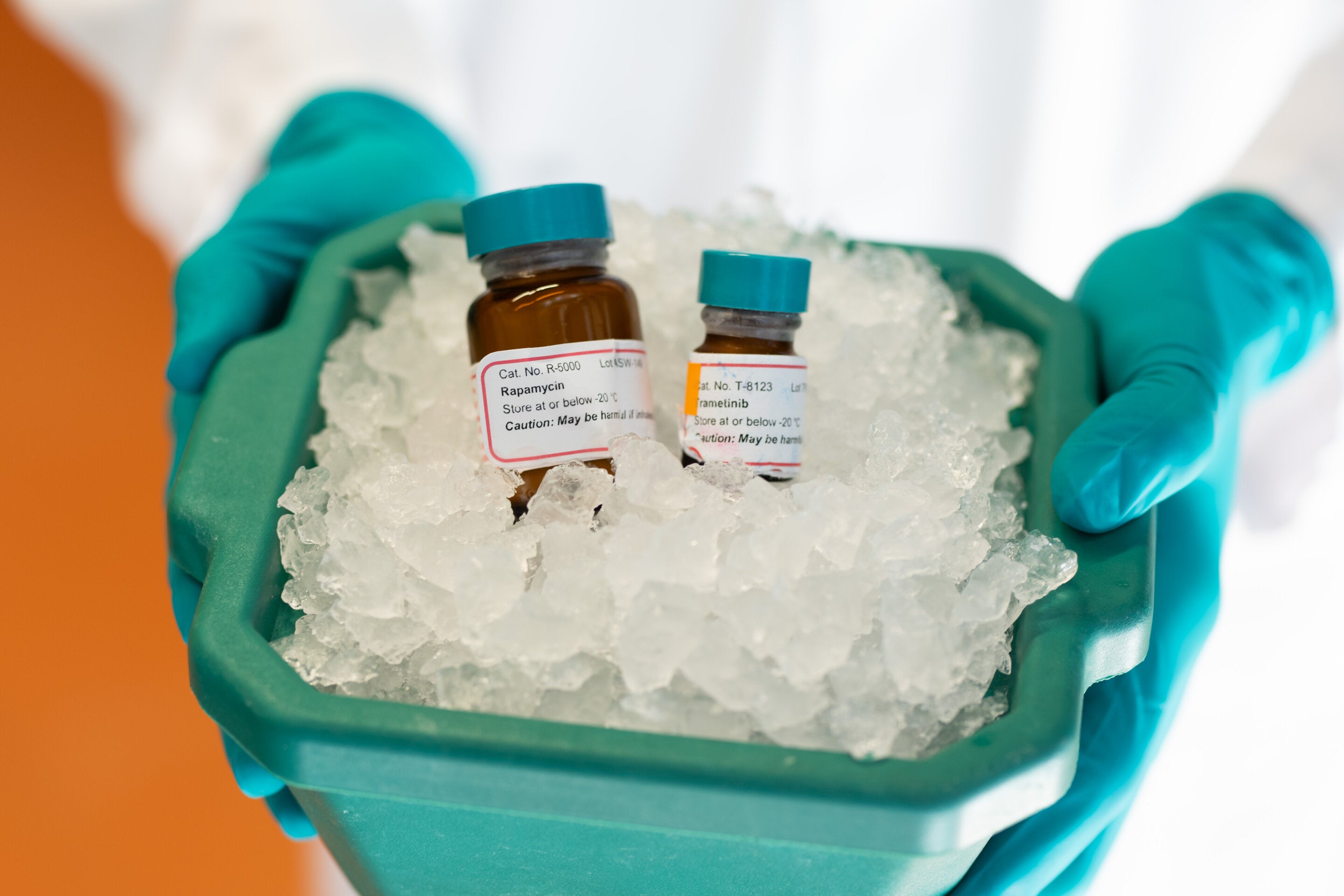 Combination of rapamycin and trametinib extends mouse lifespan