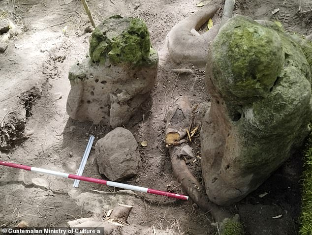 Two anthropomorphic sculptures of human form or appearance that 'represent an ancestral couple' discovered at the archeological site