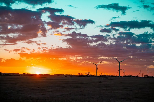 Golden hour sunset over wind farm.