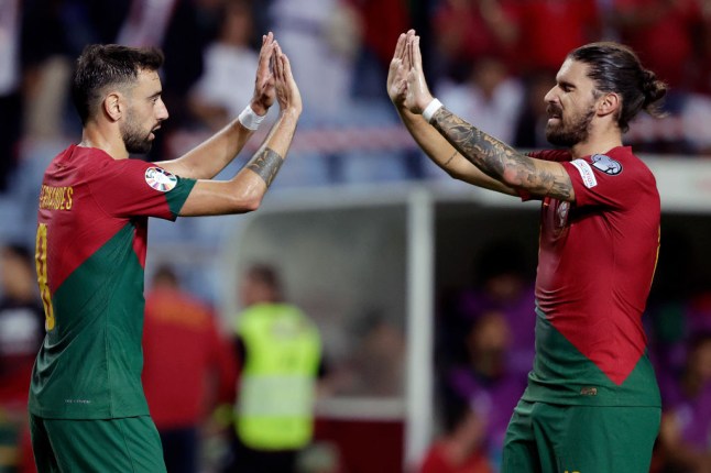 Portugal v Luxembourg -EURO Qualifier