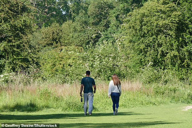 Spring 2025 is now the fourth sunniest season overall for the UK, with only three summers sunnier since 1910. Pictured, walkers out in the early morning sunshine by the woods in Oxfordshire, June 2, 2025