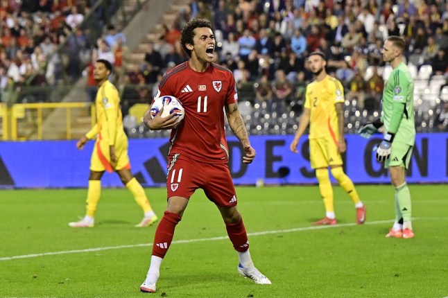 SOCCER WORLD CUP QUALIF BELGIUM VS WALES