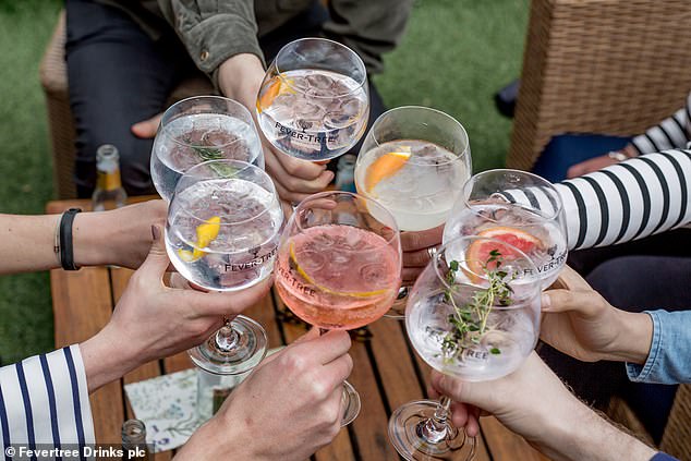 Splitting the cost: Fevertree said it would equally split costs of the 10% Trump tariff with Molson Coors