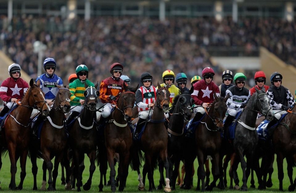 Jockeys and horses lined up at the start of a race.